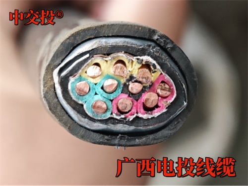 ZRA-KVVP2-22 屏蔽控制电缆介绍，使用范围-中交投电缆