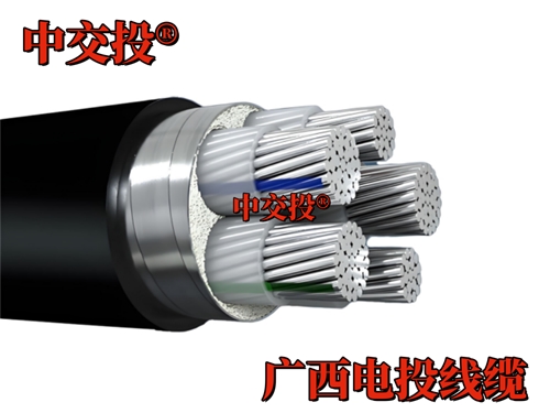 广西电线电缆厂家 中交投 ® 广西电投线缆 立足广西南宁市场